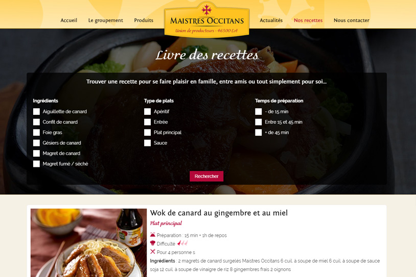 Maistres occitans - Conception site internet toulouse
